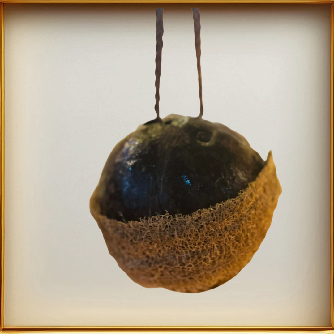 Handcrafted Earth Collection