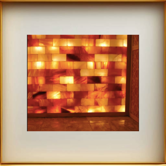 Himalayan Salt Bricks